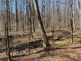 0 Andrew Mountain Road - Photo 16