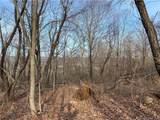 0 Andrew Mountain Road - Photo 8