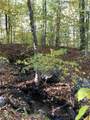 46-5 Old Wolcott Road - Photo 1