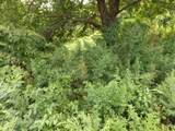 916 Hart Street - Photo 13
