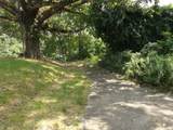 916 Hart Street - Photo 19
