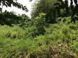 916 Hart Street - Photo 26
