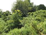 916 Hart Street - Photo 29
