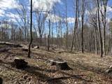 Lot 2 Birch Hill Road - Photo 3