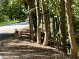Lot #21 Brook Drive - Photo 7