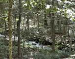 Lot #21 Brook Drive - Photo 8