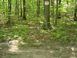 0 Porter Road - Photo 4