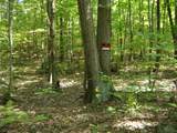 0 Porter Road - Photo 5