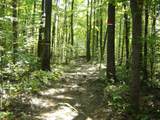 0 Porter Road - Photo 6