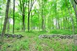 30 Chestnut Hill Road - Photo 11