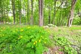30 Chestnut Hill Road - Photo 9