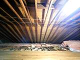 31 Andor Road - Photo 21