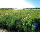 0 Ely Meadows - Photo 34