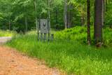 50 Popple Swamp Road - Photo 11