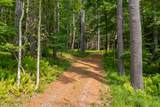 50 Popple Swamp Road - Photo 5