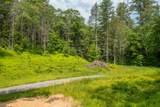 50 Popple Swamp Road - Photo 9