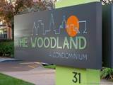 31 Woodland Street - Photo 1