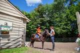 389 Trailsend Drive - Photo 25