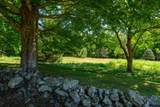 12 Valley Field Road - Photo 24