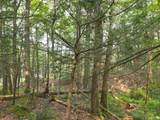 34 Front Of The Mountain Road - Photo 2