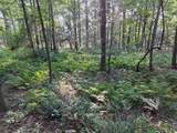 34 Front Of The Mountain Road - Photo 5