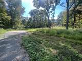 2 Lots on Deepwood Drive - Photo 3