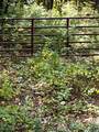  Coe Road - Photo 24