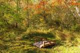92 Cherry Swamp Road - Photo 38