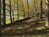  Ore Hill Road - Photo 13