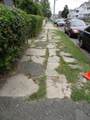 363-65 Carroll Avenue - Photo 8