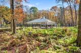 317 Tater Hill Road - Photo 5