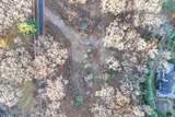 24 Burma Road - Photo 6
