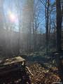 184 Campville Hill Road - Photo 11