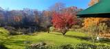81 Mountain Road - Photo 21