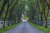 865 Hollow Tree Ridge Road - Photo 2