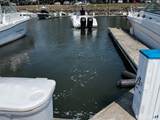 0 Caswell Cove Marina - Photo 8