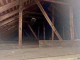 850 Colony Road - Photo 10