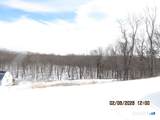 73 Warm Earth Road - Photo 24