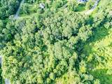 97 Blossom Drive - Photo 5