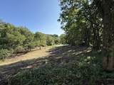 393 Canterbury Road - Photo 37