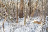 167 Fitch Hill Road - Photo 7