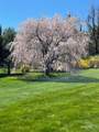 11 Nature Trail - Photo 28
