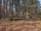 0 Walnut And Larch Drive - Photo 7