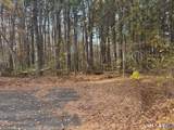 0 Walnut And Larch Drive - Photo 8