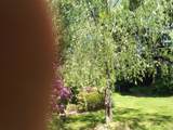 30 Village Road - Photo 1