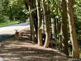Lot #6 Brook Drive - Photo 10