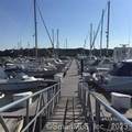 379 Whitfield Street - Photo 12