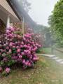 83 Birge Street - Photo 15