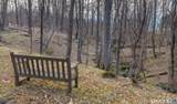 5 Upland Pastures Road - Photo 6
