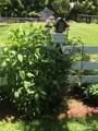 30 Hopyard Road - Photo 34